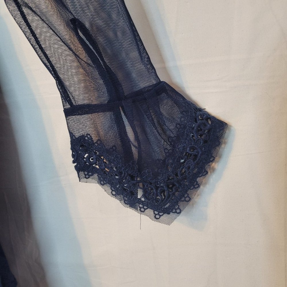 Free People Blue Lace Victorian Fit-and-Flare Dress with Sheer Sleeves - Picture 7 of 14